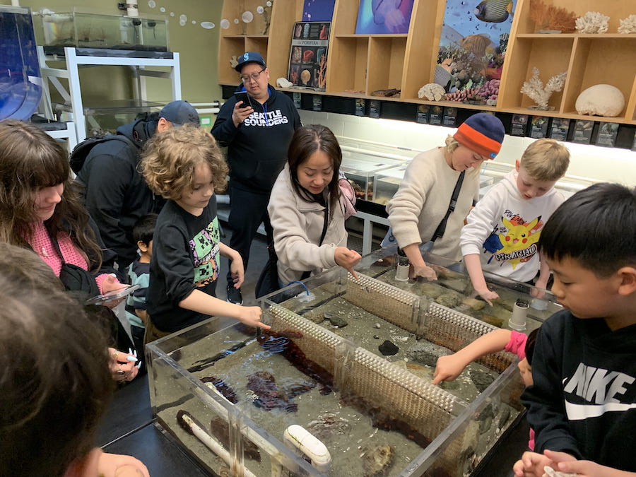 Checking out the touch tanks in the Wet Lab at the Vancouver Aquarium