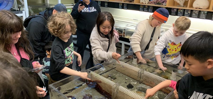 Checking out the touch tanks in the Wet Lab at the Vancouver Aquarium